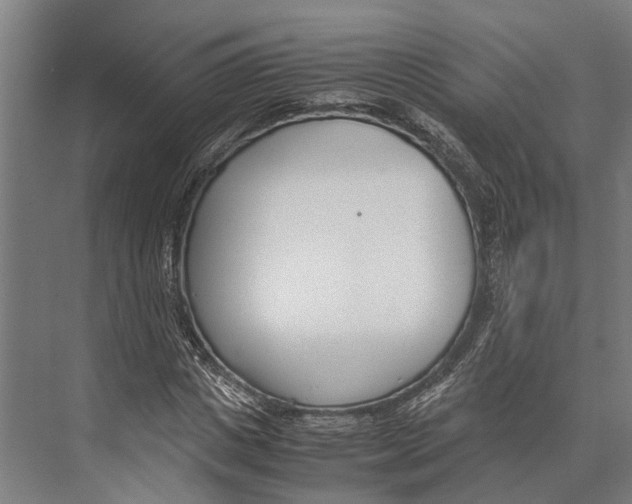 X0000071950825200608041551