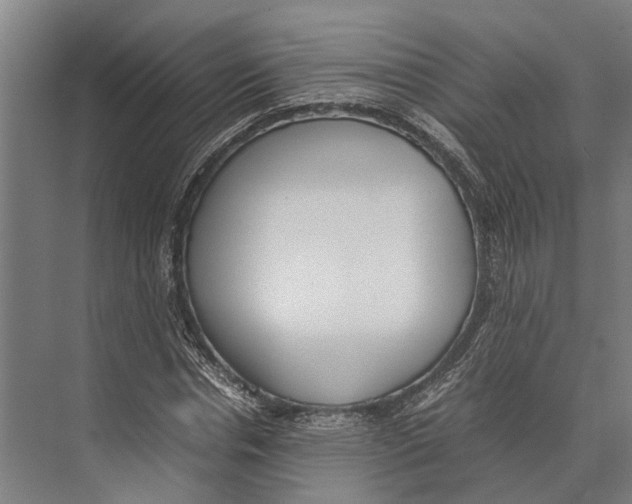 X0000071950826200608041551