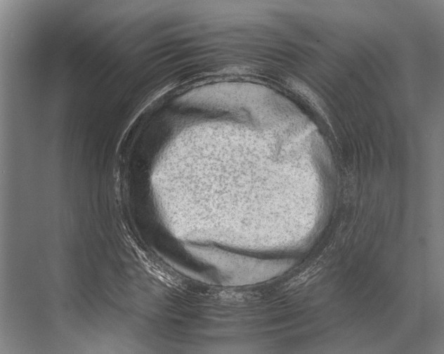 X0000071950827200608041551