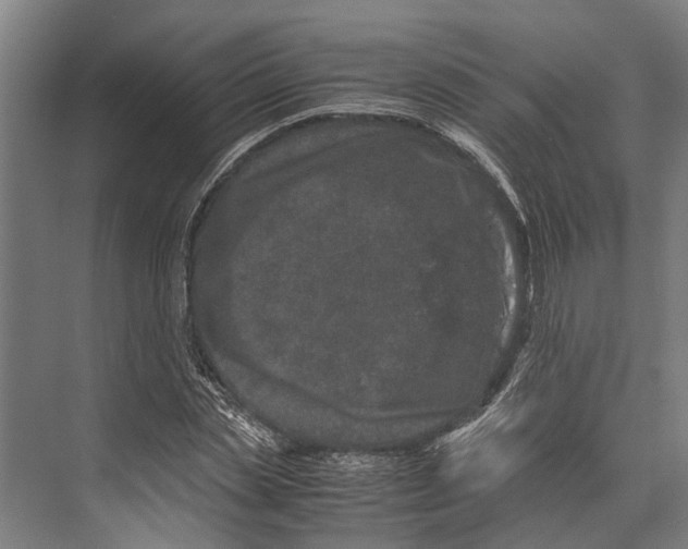 X0000071950829200608041551