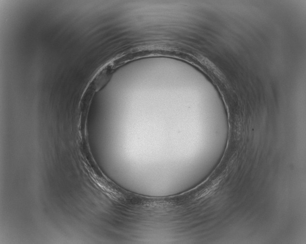 X0000071950830200608041551