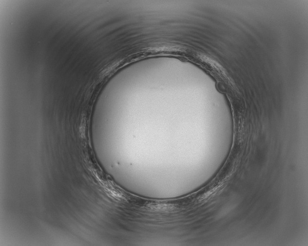 X0000071950833200608041551