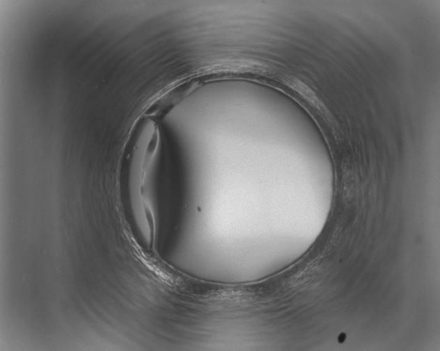 X0000071950834200608041551