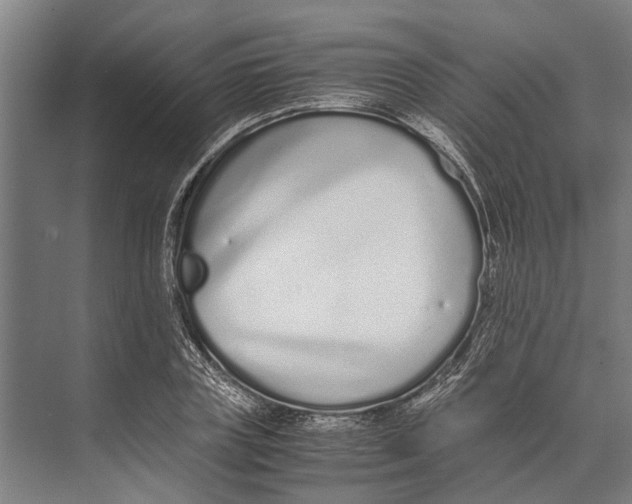 X0000071950835200608041551