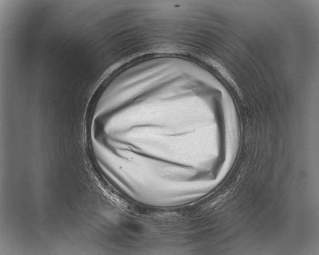 X0000071950837200608041551