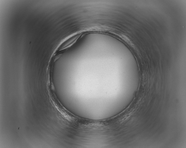 X0000071950838200608041551