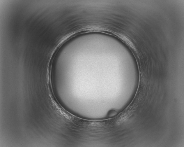 X0000071950839200608041551