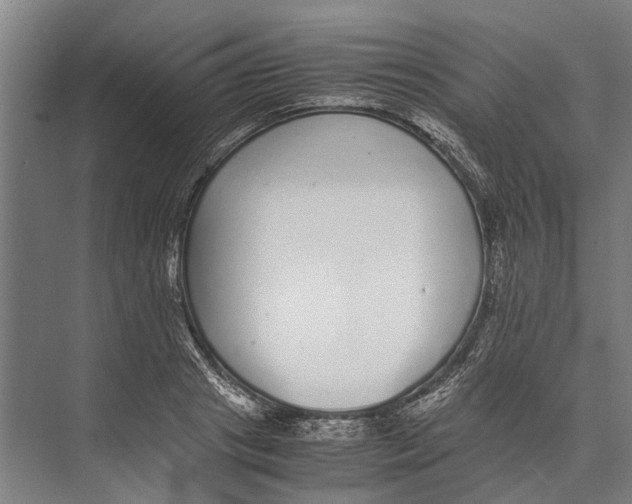 X0000071950841200608041551