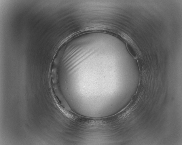 X0000071950842200608041551