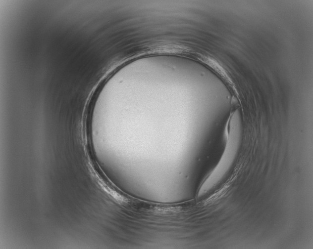 X0000071950843200608041551