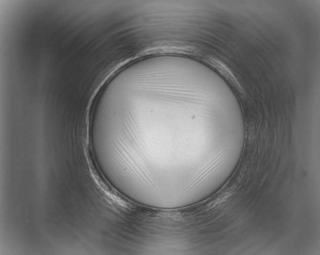 X0000071950844200608041551