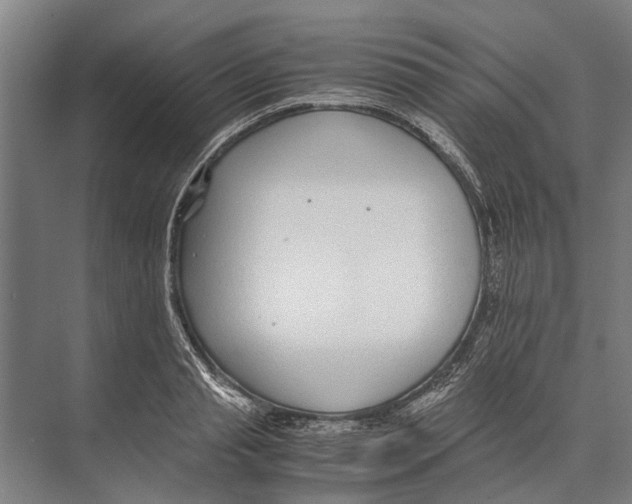 X0000071950845200608041551