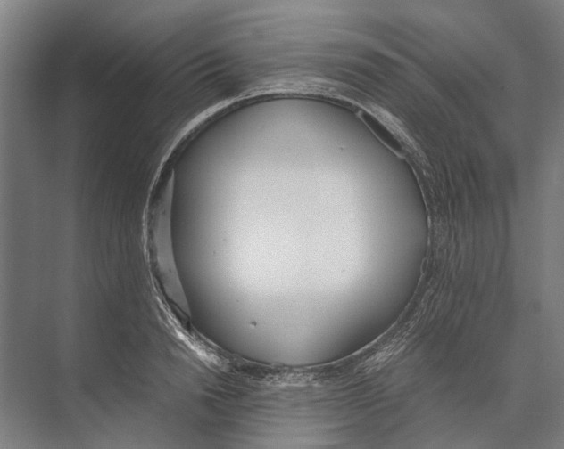 X0000071950846200608041551