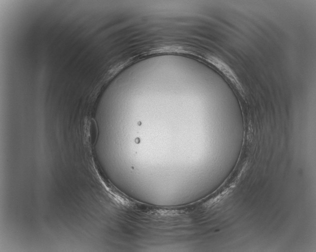 X0000071950849200608041551