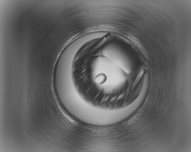 X0000071950850200608041551