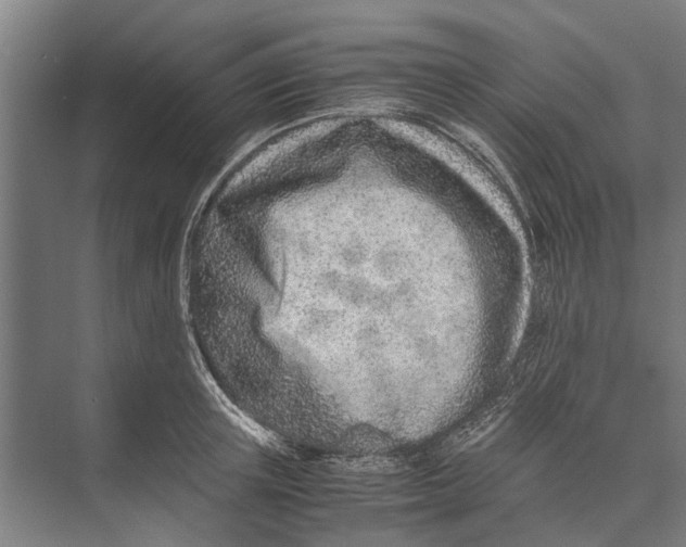 X0000071950851200608041551