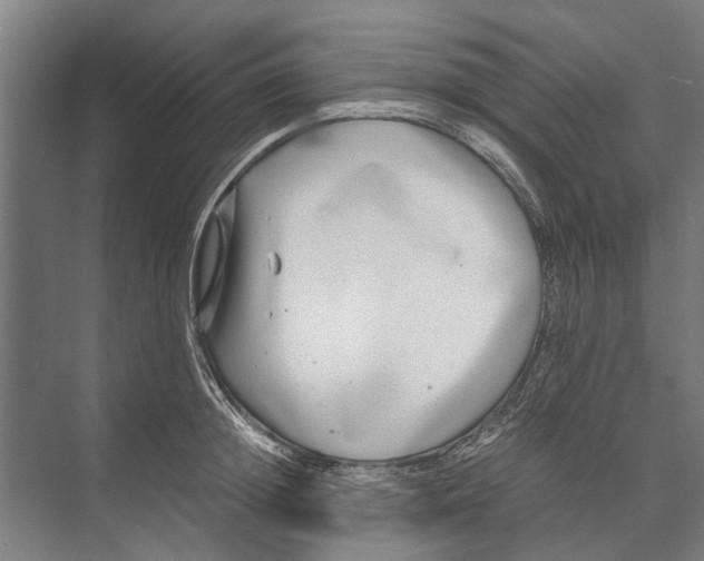 X0000071950852200608041551