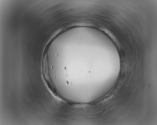 X0000071950853200608041551