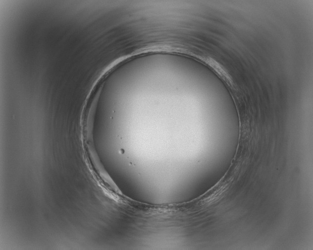 X0000071950854200608041551