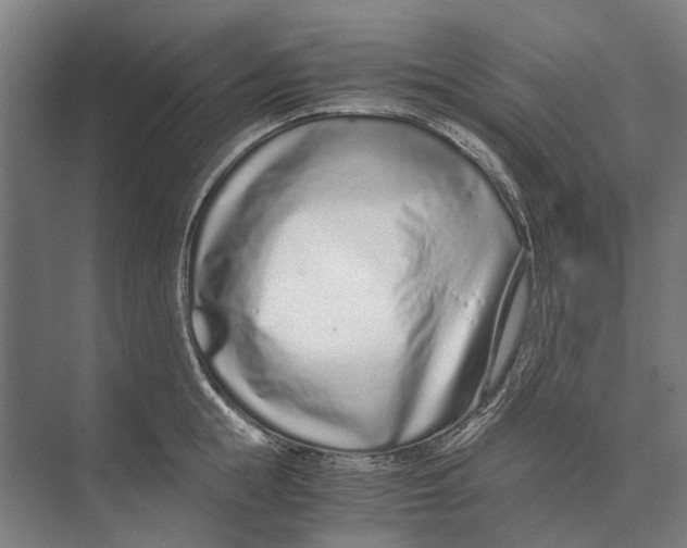 X0000071950855200608041551