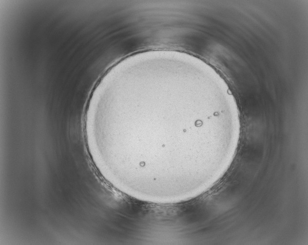 X0000071950856200608041551