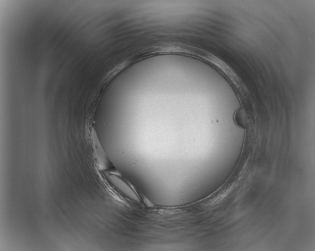 X0000071950857200608041551