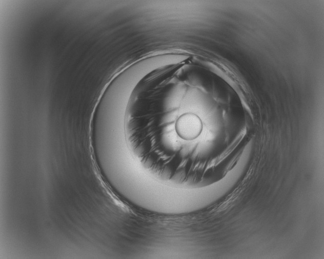 X0000071950858200608041551