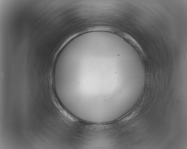 X0000071950860200608041551