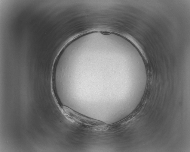 X0000071950861200608041551