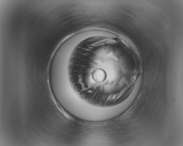 X0000071950862200608041551