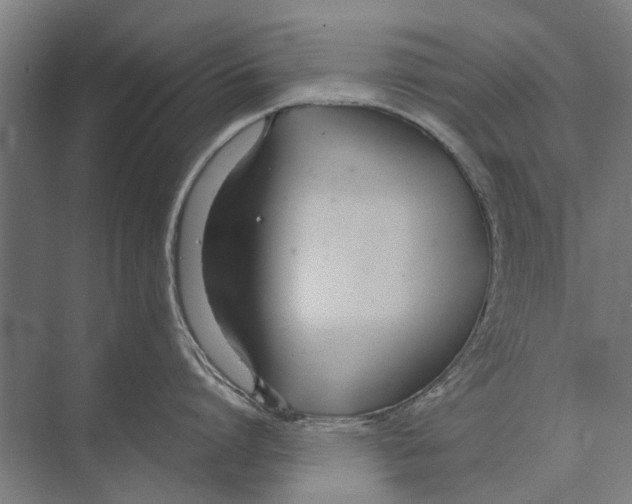 X0000071950864200608041551