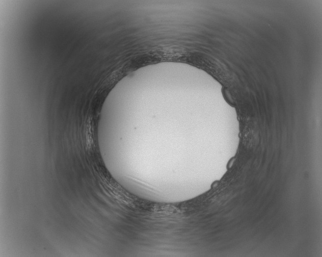 X0000071950866200608041551