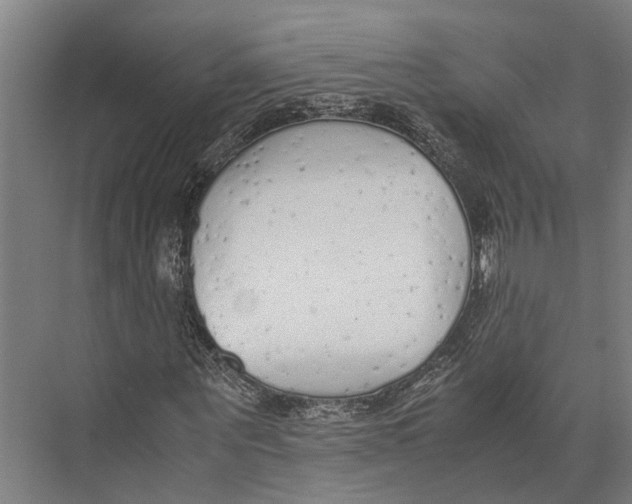 X0000071950867200608041550