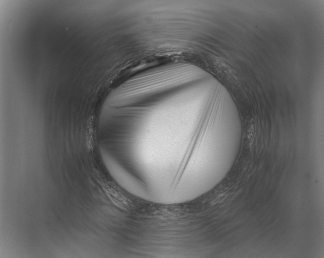 X0000071950868200608041550