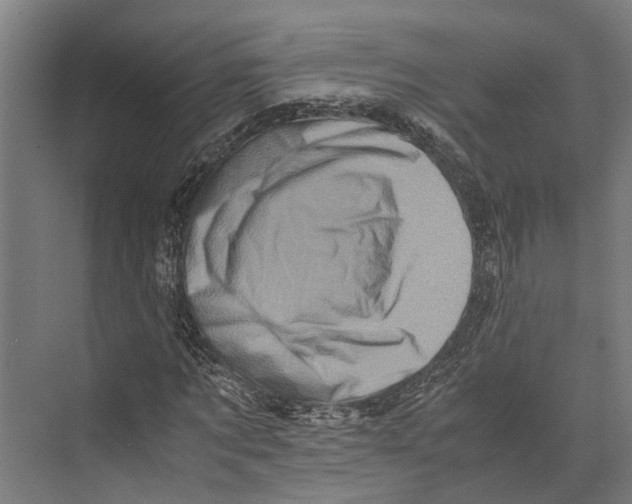 X0000071950869200608041550