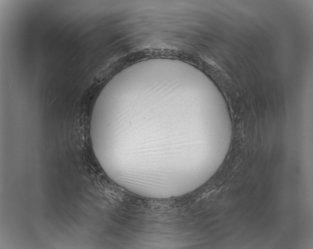 X0000071950870200608041550