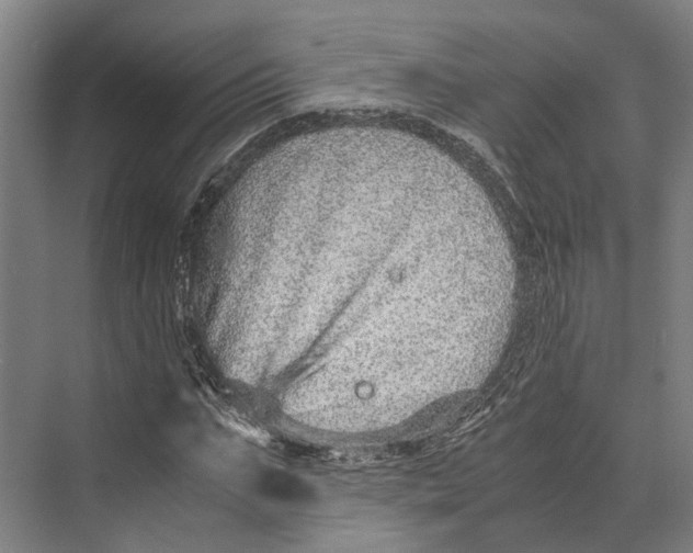 X0000071950871200608041550