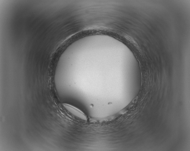 X0000071950872200608041550