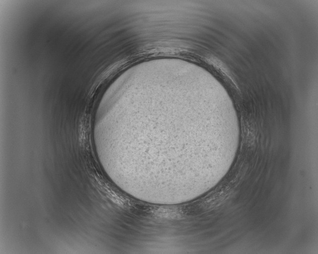 X0000071950874200608041550