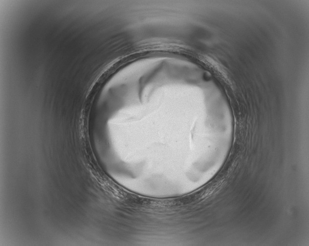 X0000071950875200608041550