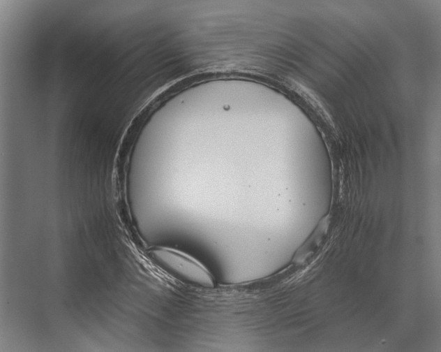 X0000071950876200608041550