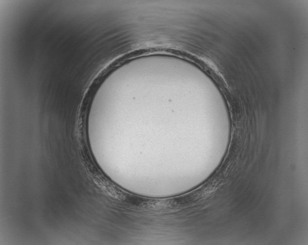 X0000071950879200608041550