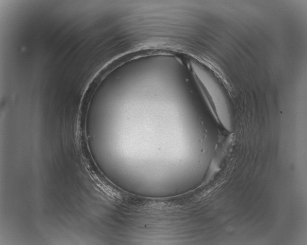 X0000071950880200608041550