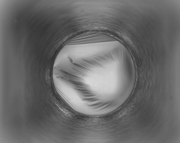 X0000071950881200608041550