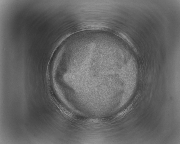 X0000071950883200608041550