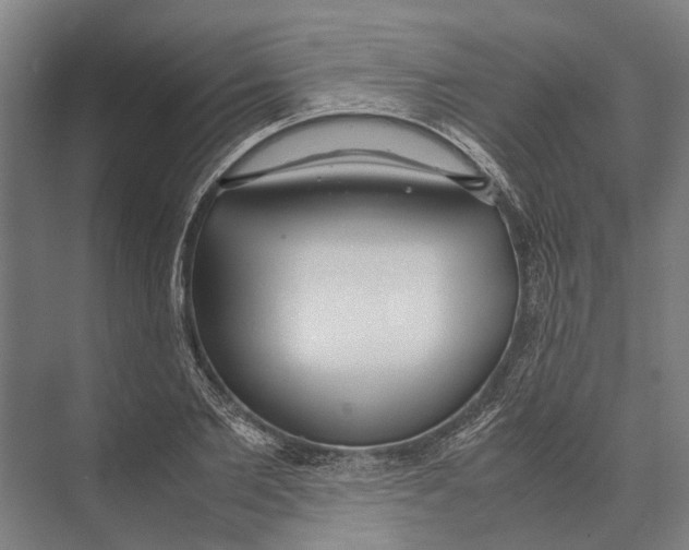 X0000071950885200608041550