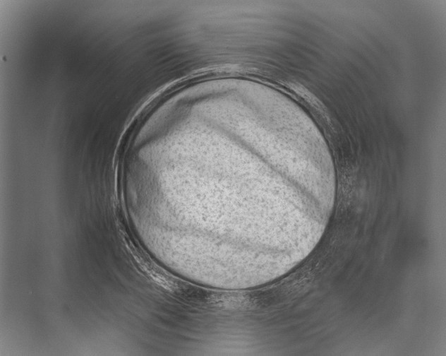 X0000071950886200608041550