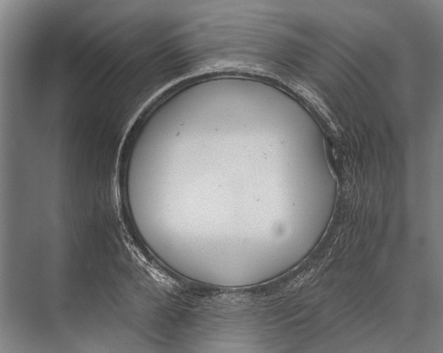 X0000071950888200608041550