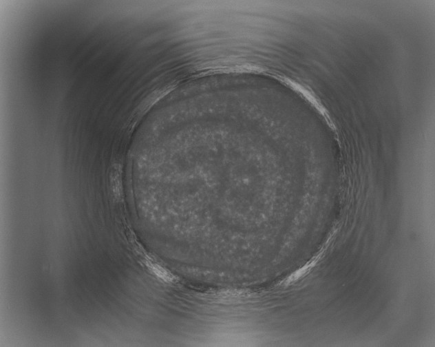 X0000071950889200608041550