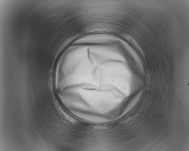 X0000071950890200608041550